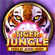 Biểu tượng cấp độ Đồng VIP Ontop88